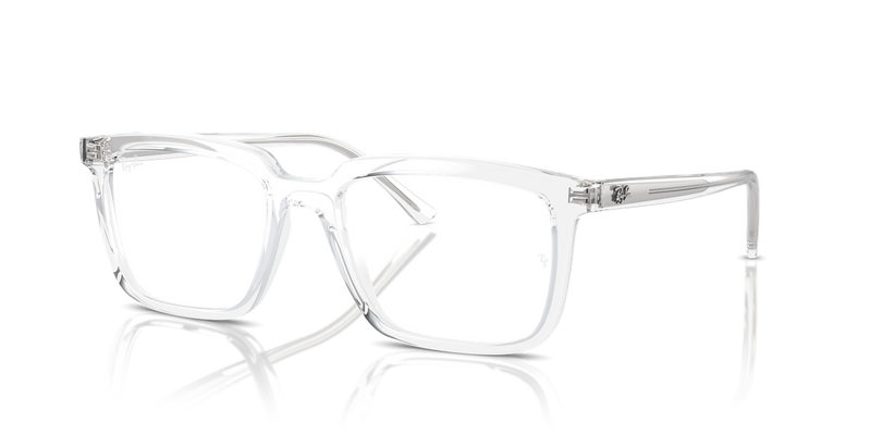 Ray-Ban ALAIN in Transparent / Clear (2001) - Alternate View