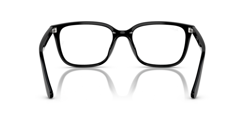 Ray-Ban RX7248D in Black - Temple Detail