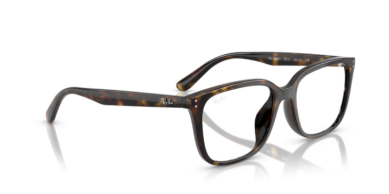 Ray-Ban RX7248D in Havana - Alternate View