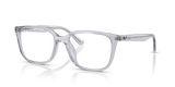 Transparent Light Grey / Clear (8411)