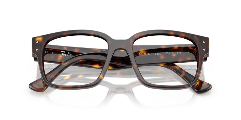 Ray-Ban LAURENE in Havana / Clear (8320) - Alternate View