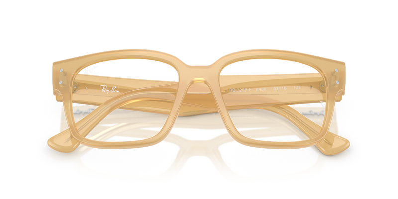Ray-Ban LAURENE in Transparent Beige / Clear (8430) - Alternate View