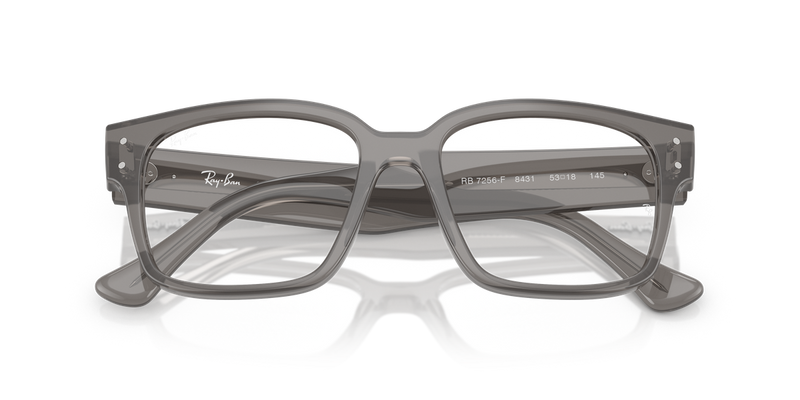 Ray-Ban LAURENE in Transparent Grey / Clear (8431) - Alternate View