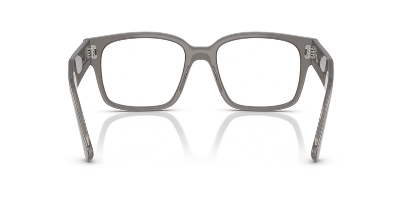 Ray-Ban LAURENE in Transparent Grey / Clear (8431) - Alternate View