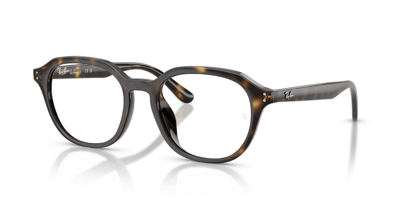 Ray-Ban RX7259D in Havana / Clear (2012) - Alternate View