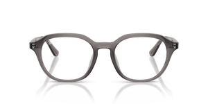 Transparent Dark Grey / Clear (8257)