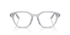 Transparent Light Grey / Clear (8411)