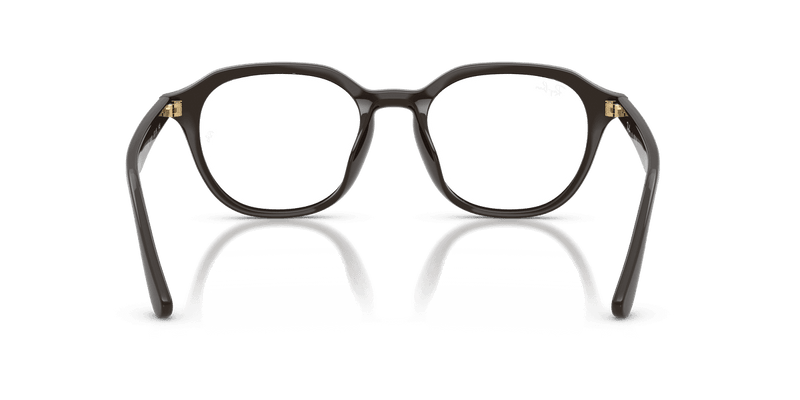 Ray-Ban RX7259D in Full Dark Brown (8493) - Alternate View