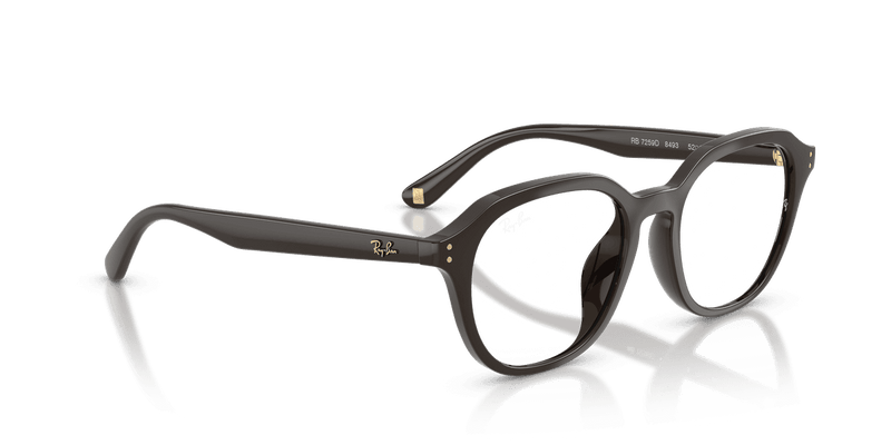 Ray-Ban RX7259D in Full Dark Brown (8493) - Back View
