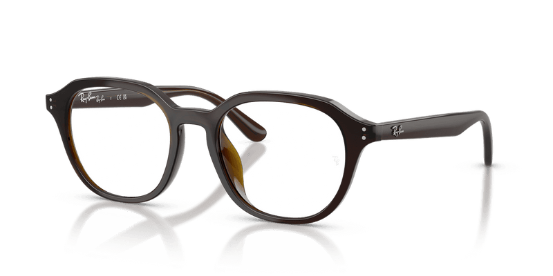 Ray-Ban RX7259D in Transparent Brown / Clear (8502) - Alternate View