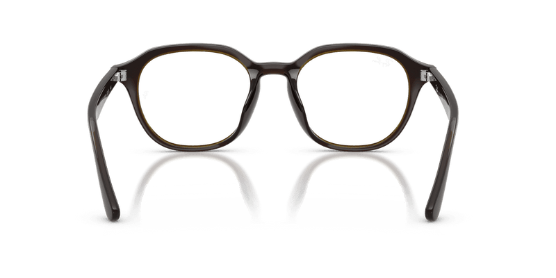 Ray-Ban RX7259D in Transparent Brown / Clear (8502) - Alternate View