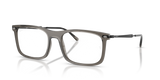 Transparent Grey / Clear (8463)