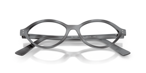Dark Grey Havana / Clear (8489)
