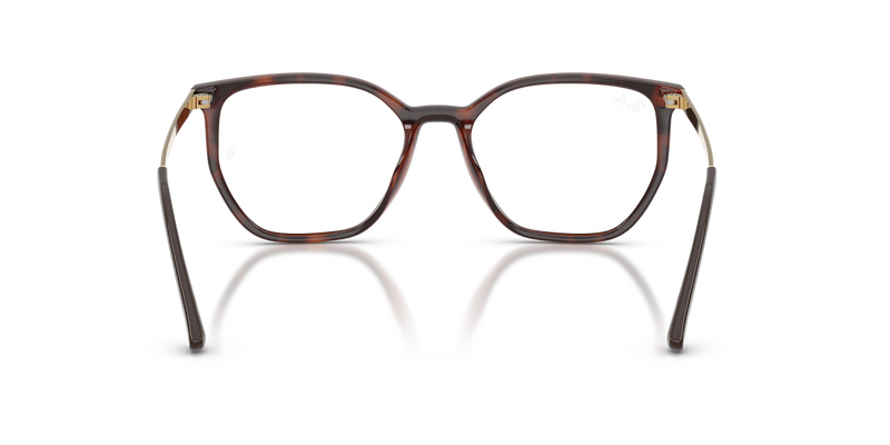 Ray-Ban RX7268L in Dark Havana - Alternate View
