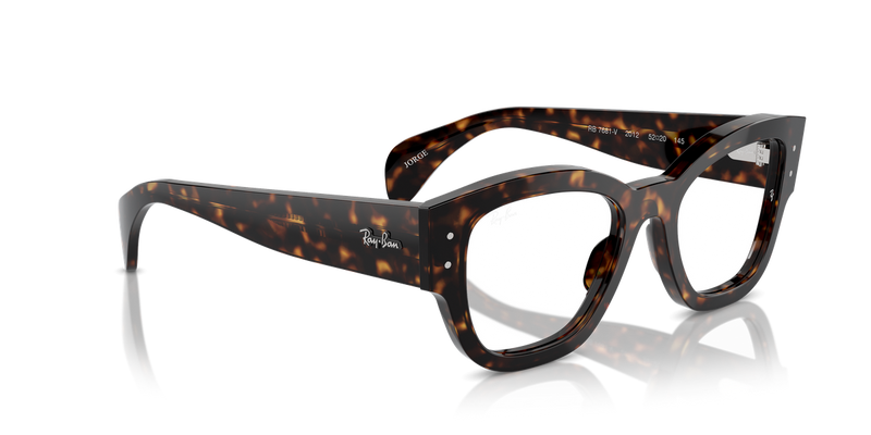Ray-Ban JORGE in Havana - Alternate View