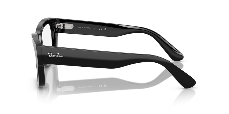Ray-Ban JOSEPH in Black - Back View