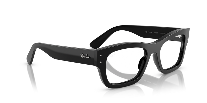 Ray-Ban JOSEPH in Black - Alternate View