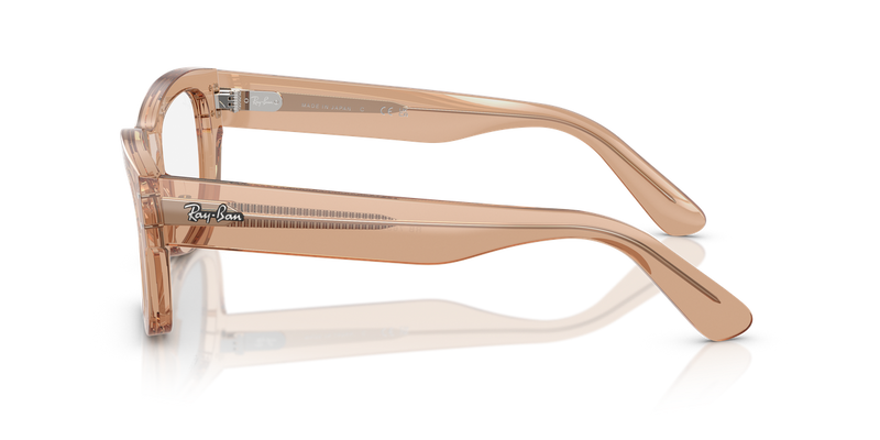 Ray-Ban JOSEPH in Transparent Light Brown - Alternate View