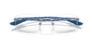 Silver / Clear (2501)