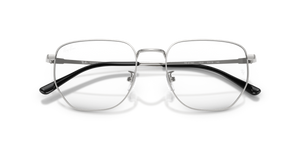Silver / Clear (1002)