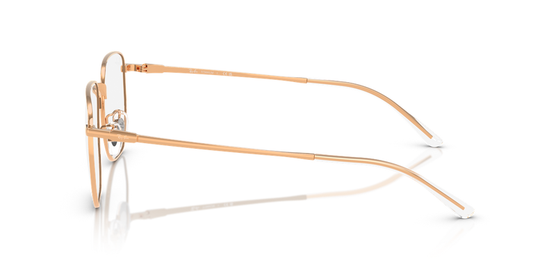 Ray-Ban RX8776D in Rosegold / Clear (1248) - Alternate View