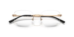 Rose Gold / Clear (1248)