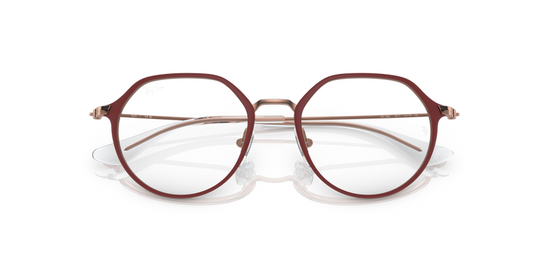 Ray-Ban Youth 0RY1058 in Bordeaux On Rose Gold - Alternate View