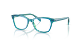 Transparent Blue & Green / Clear (3996)