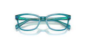 Transparent Blue & Green / Clear (3996)