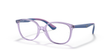 Transparent Violet / Clear (3885)