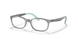 Transparent Grey / Clear (3908)