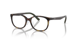 Havana / Clear (3863)
