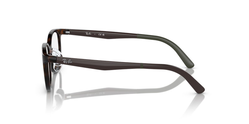 Ray-Ban Youth 0RY1614D in Havana - Back View