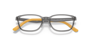 Transparent Grey / Clear (3774)