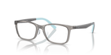 Transparent Grey / Clear (3908)