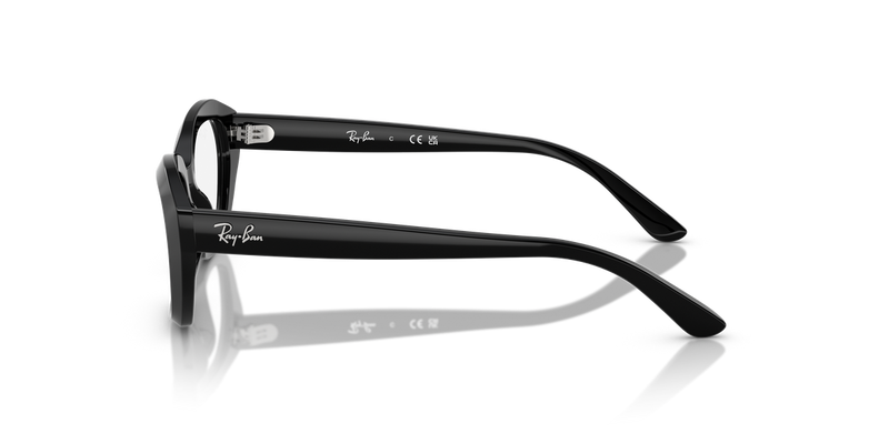 Ray-Ban Youth 0RY1636 in Black - Back View