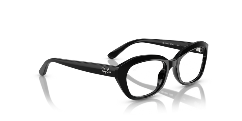 Ray-Ban Youth 0RY1636 in Black - Alternate View