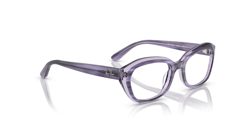 Ray-Ban Youth 0RY1636 in Striped Violet On Transparent Violet - Alternate View
