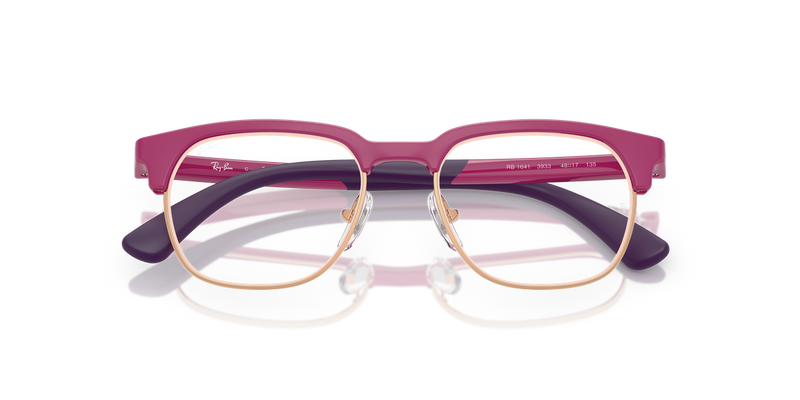 Ray-Ban Youth 0RY1641 in Fucsia On Rose Gold - Alternate View