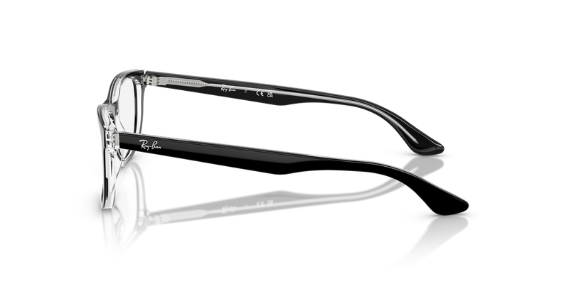 Ray-Ban Youth 0RY1642F in Black On Transparent - Alternate View
