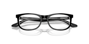Black On Transparent / Clear (3529)