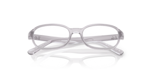 Transparent Grey / Clear (3984)