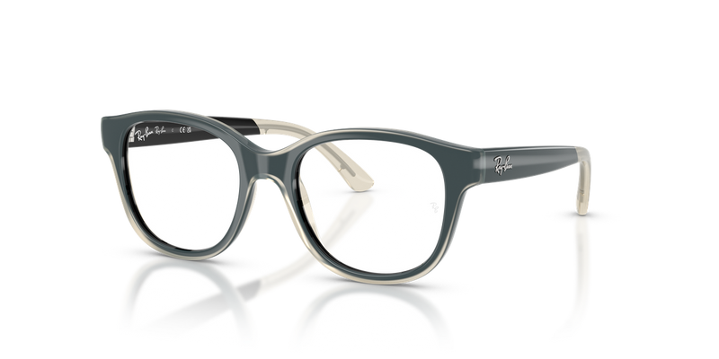 Ray-Ban Youth 0RY1950 in Black On Transparent - Alternate View