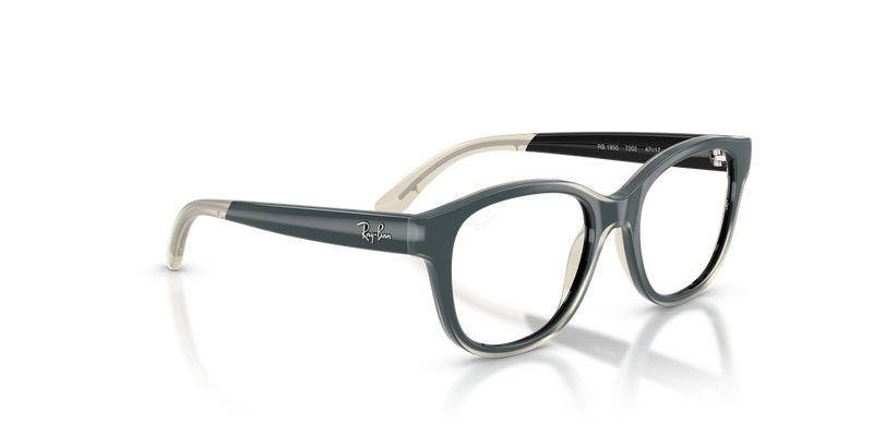 Ray-Ban Youth 0RY1950 in Black On Transparent - Alternate View