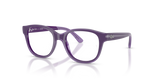 Violet On Transparent Violet / Clear (7206)