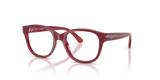 Fucsia On Transparent Fucsia / Clear (7207)
