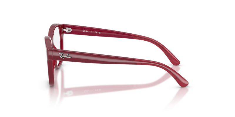 Ray-Ban Youth 0RY1950 in Fucsia On Transparent Fucsia - Alternate View