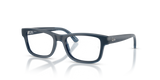 Blue / Clear (7205)
