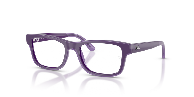 Ray-Ban Youth RY1951 in Violet - Alternate View