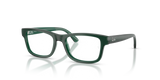 Green / Clear (7545)